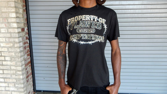 PROPERTY OF TEMPTATIONS TEE