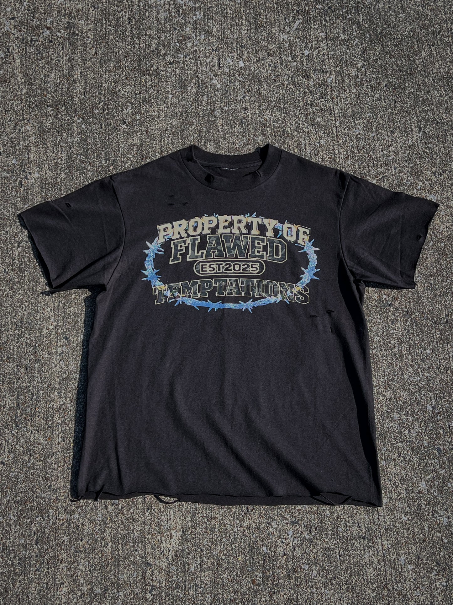 PROPERTY OF TEMPTATIONS TEE