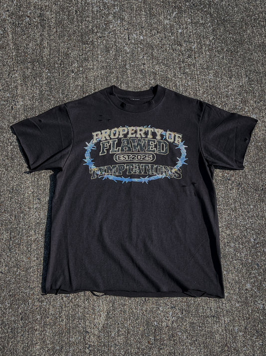 PROPERTY OF TEMPTATIONS TEE